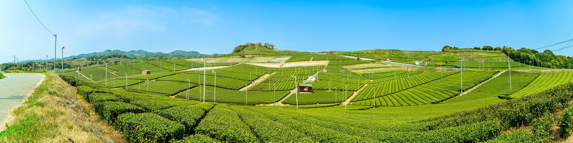 見渡す限り緑のじゅうたん・香り高き絶景スポット「八女中央大茶園」
Green carpet as far as the eye can see, fragrant scenic spot ``Yame Chuo Daichaen''
日本(春)2022年撮影
Japan (Spring) Taken in 2022
九州・福岡県八女市
Yame City, Fukuoka Prefecture,
