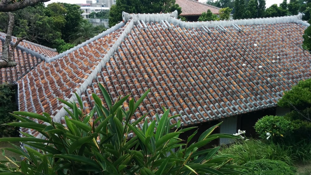 A traditional tiled roof with a white border, surrounded by lush greenery and trees.