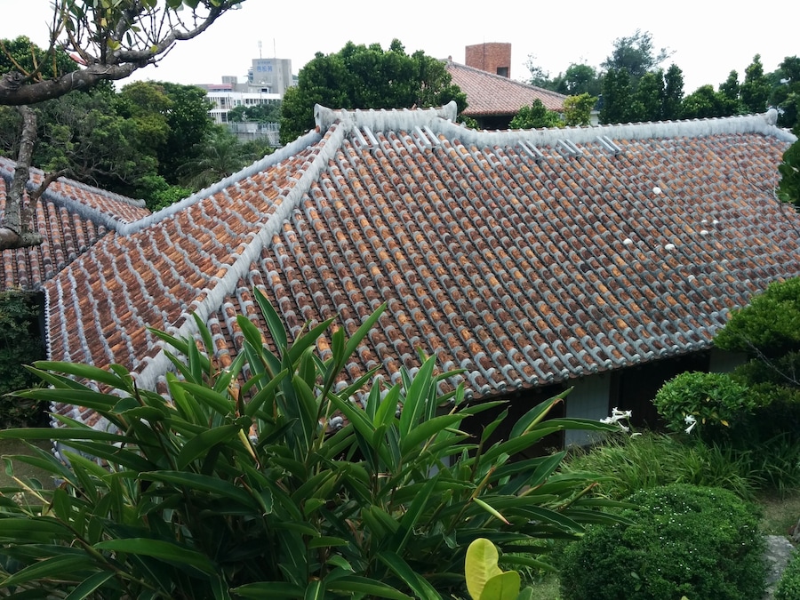 A traditional tiled roof with a white border, surrounded by lush greenery and trees.