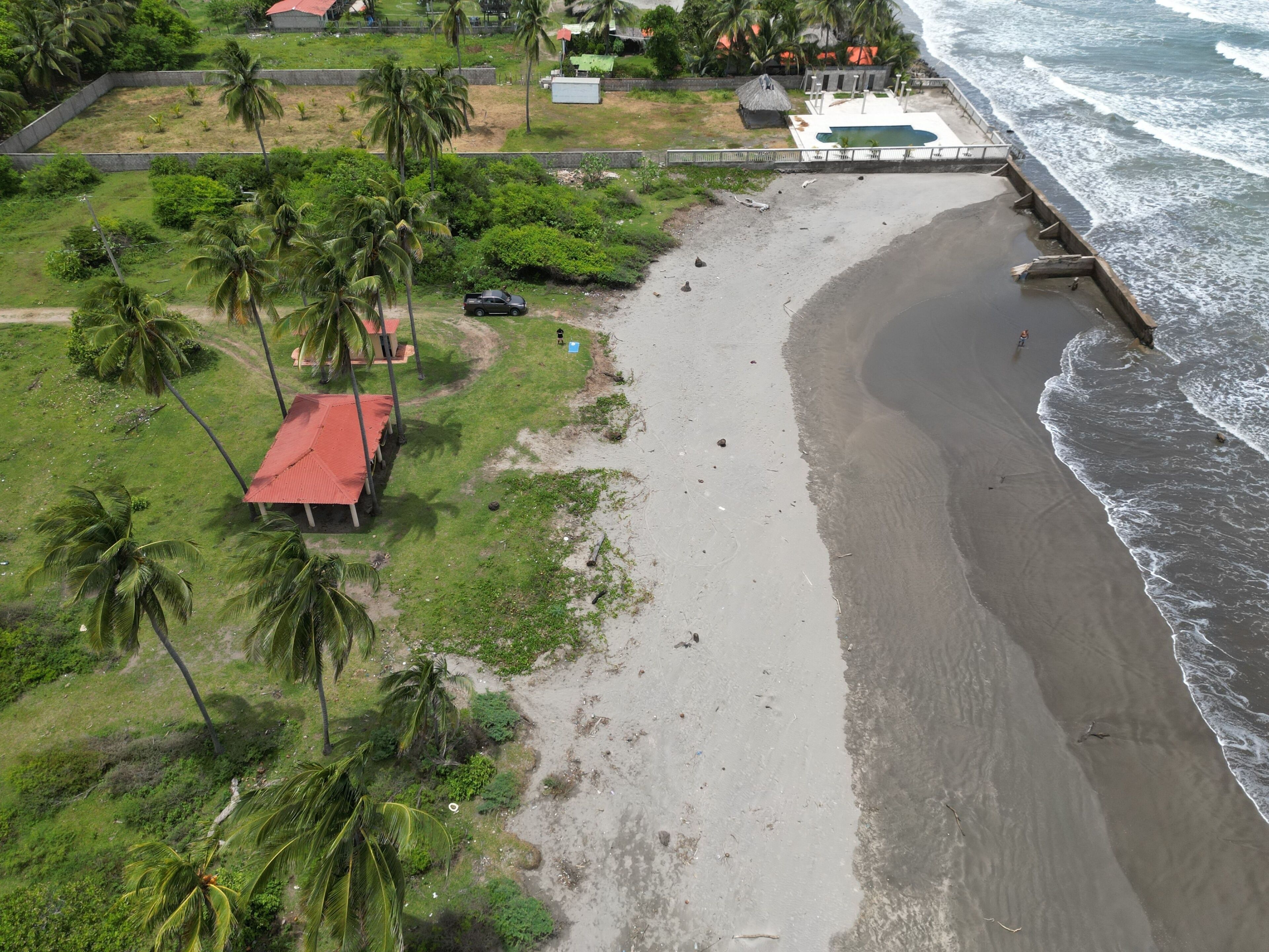 Une plage bordée de palmiers, une petite maison et une côte rocheuse.