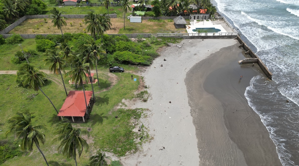 Une plage bordée de palmiers, une petite maison et une cÎte rocheuse.