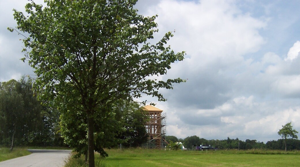 Rekonstruktion des Limesturms 10/15