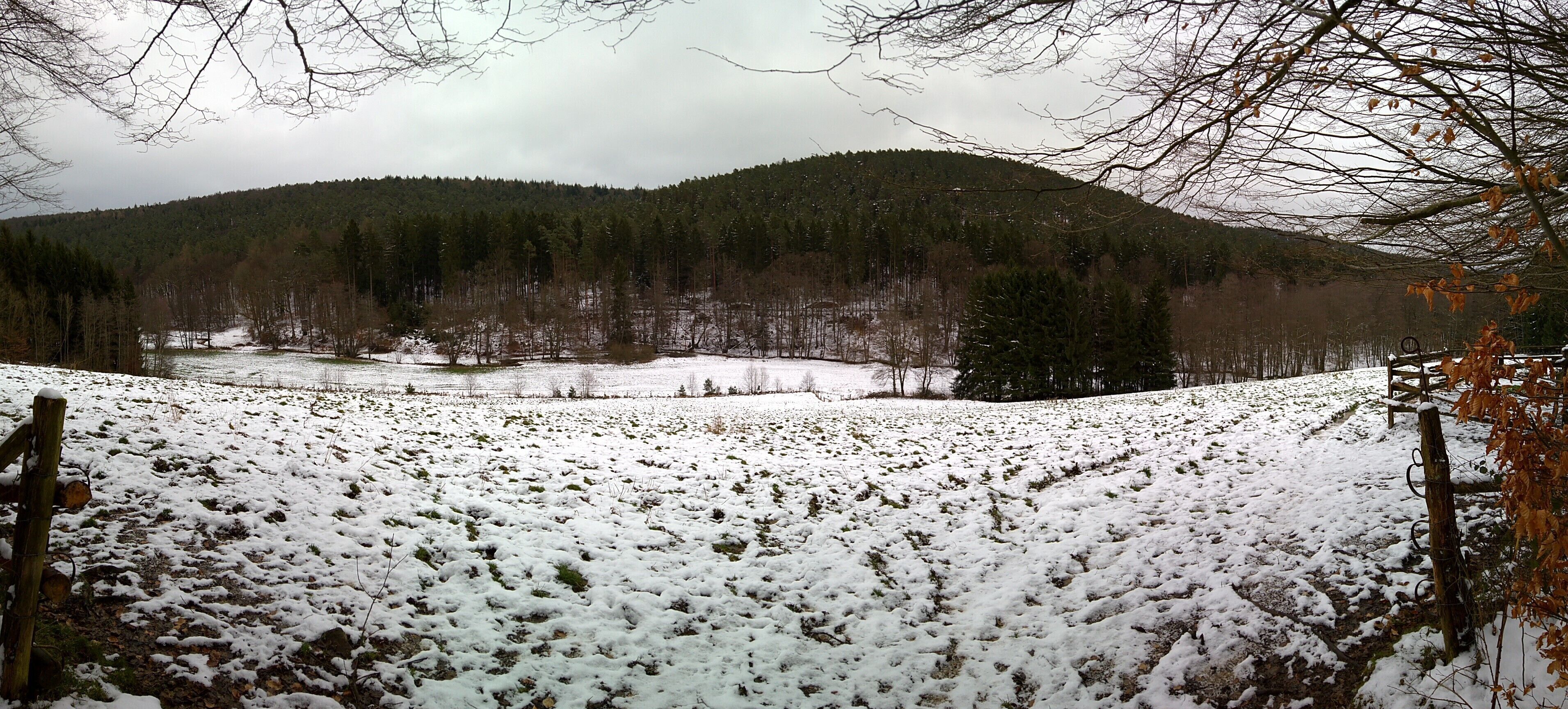 Das "Naturschutzgebiet Geierstal von Vielbrunn" im oberen Ohrnbachtal nördlich des Golfplatzes, im Hintergrund der Geißberg mit dem Erdwerk Ohrenbacher Schanze