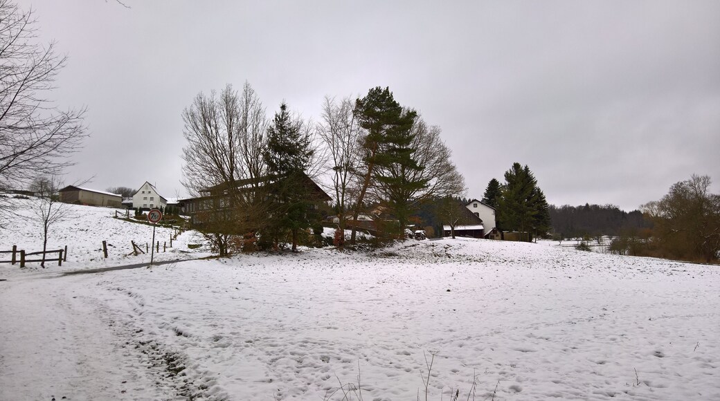Südöstliches Ende von Bremhof mt Gaststätte "Einkehr"; hier beginnt das Waldgebiet und der Ohrnbach fällt steil ins eigentliche Tal (Geierstal) hin ab.