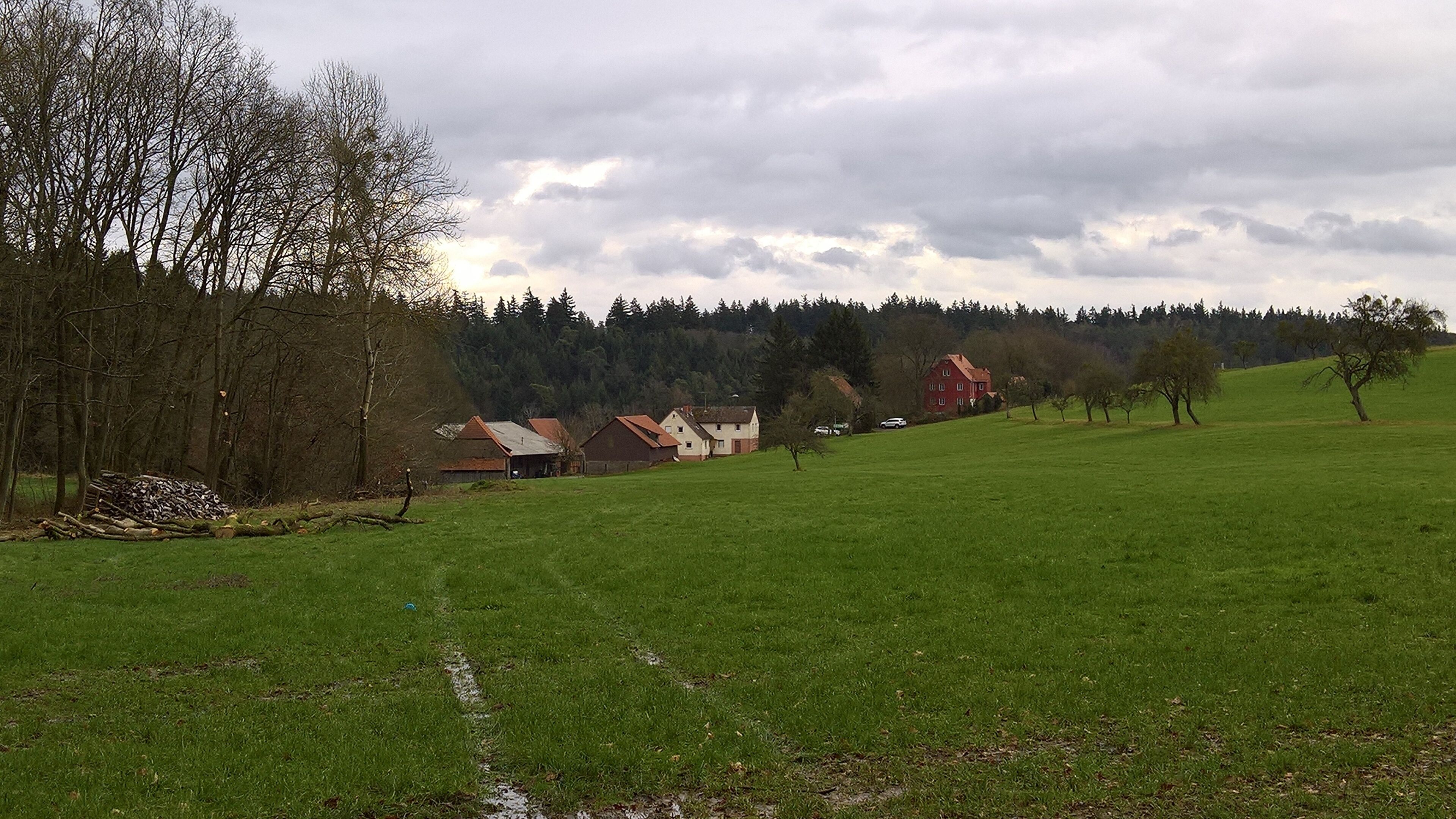 A rural landscape with a green field, a red house, and a forest in the background.