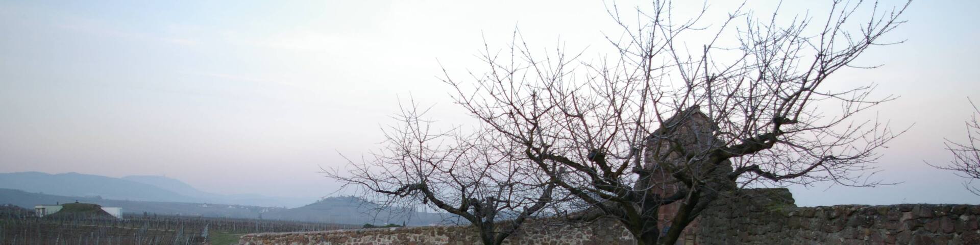 This building is inscrit au titre des Monuments Historiques. It is indexed in the Base Mérimée, a database of architectural heritage maintained by the French Ministry of Culture, under the references PA68000008 and IA68000775 .