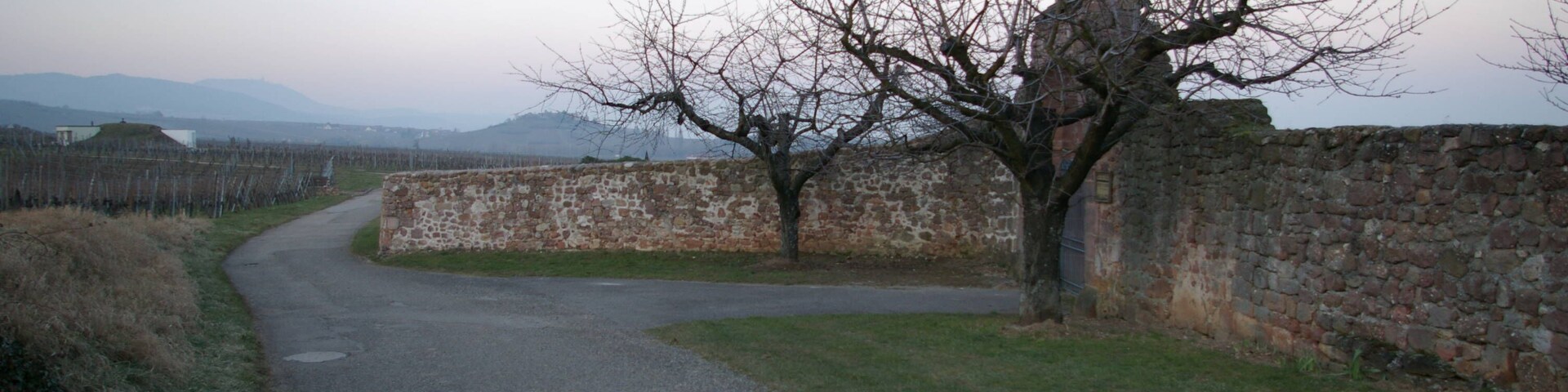 A rural road with a stone wall and a leafless tree.
