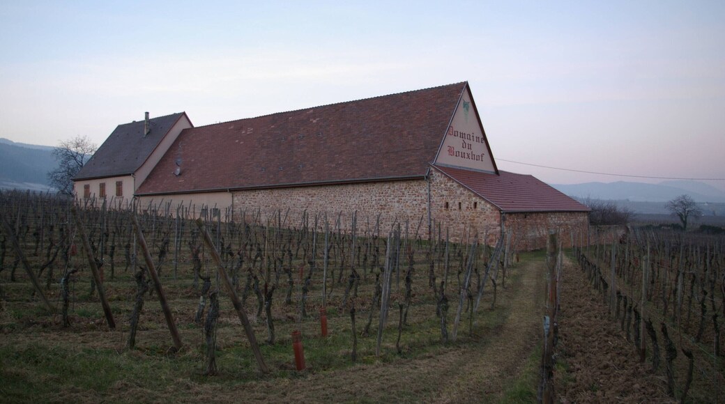 This building is inscrit au titre des Monuments Historiques. It is indexed in the Base Mérimée, a database of architectural heritage maintained by the French Ministry of Culture, under the references PA68000008 and IA68000775 .