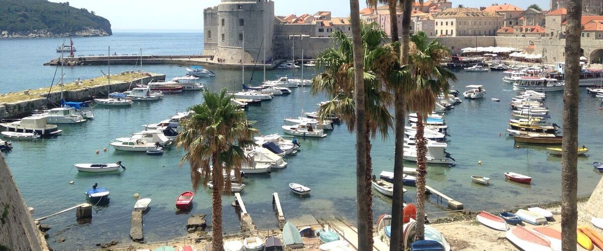 A coastal town with a historic fort, a marina filled with boats, and palm trees.