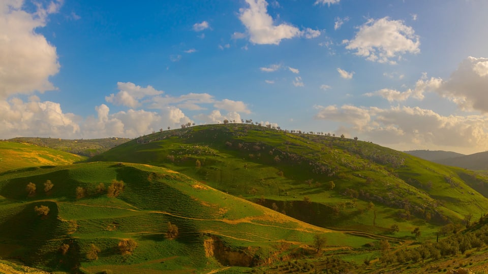 Rolling green hills with a clear sky and scattered clouds.