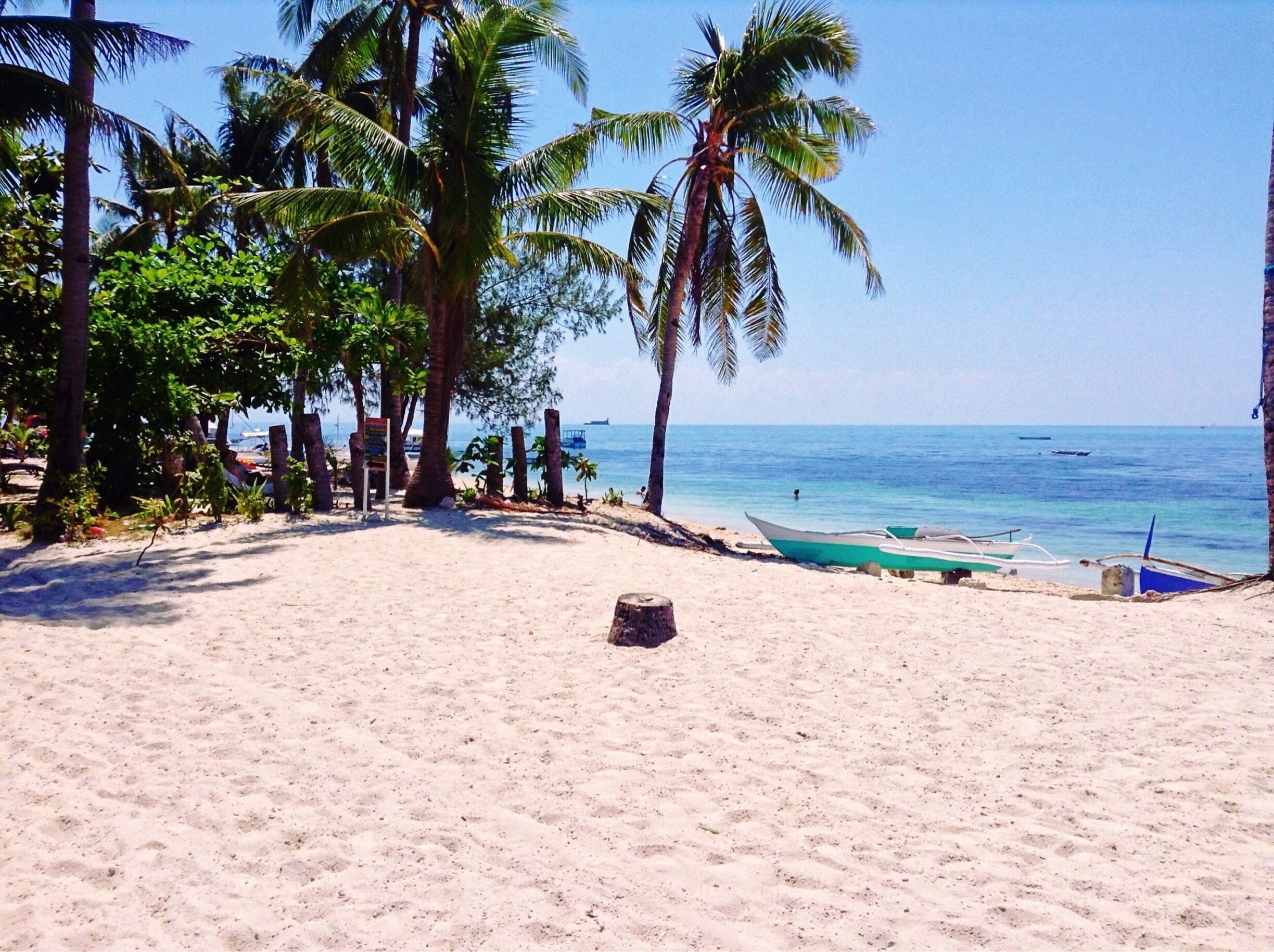 A sandy beach with palm trees and a clear blue sea.