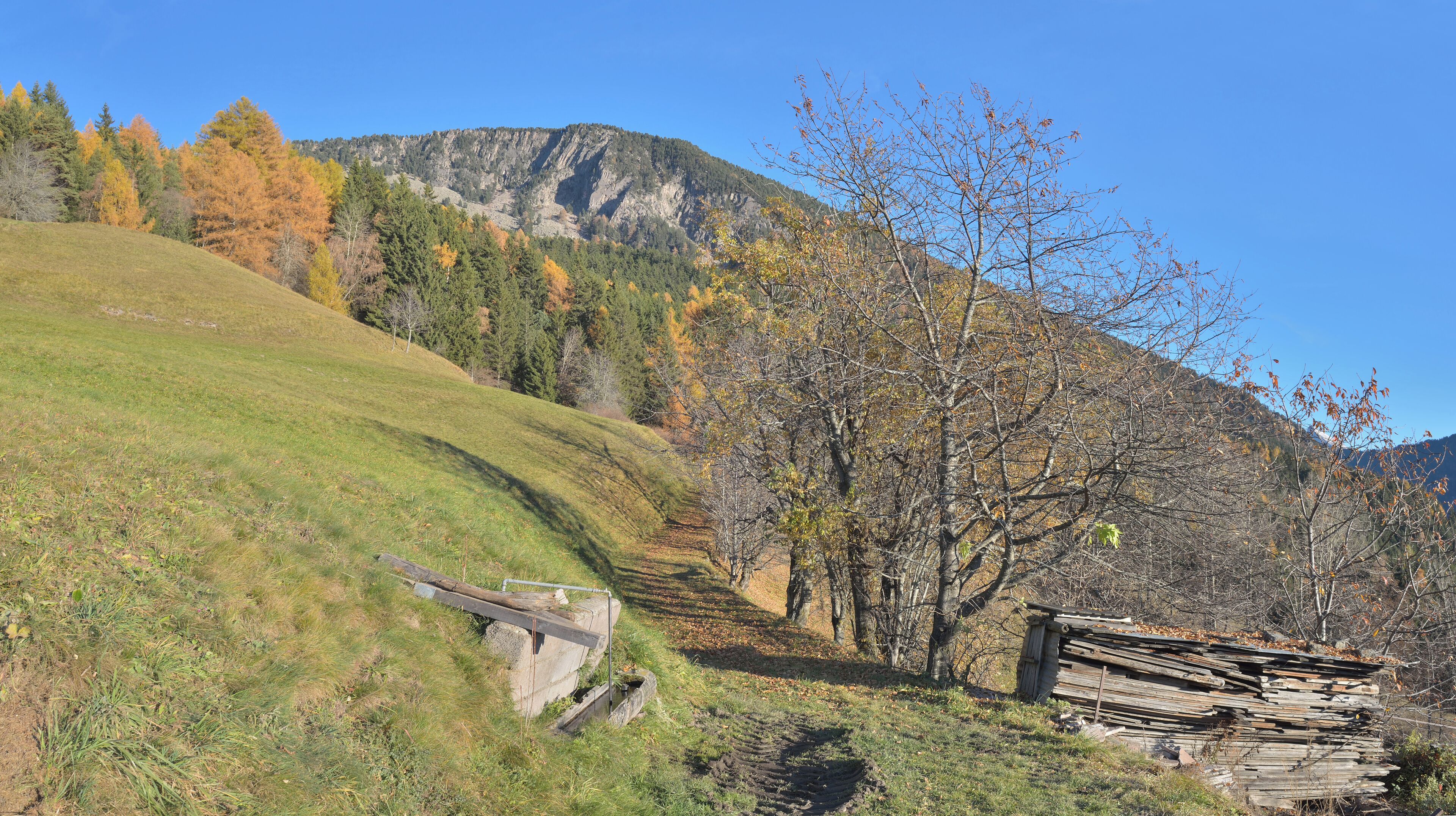 On the Troi Paian trail and the Resciesa mount in Gherdëina