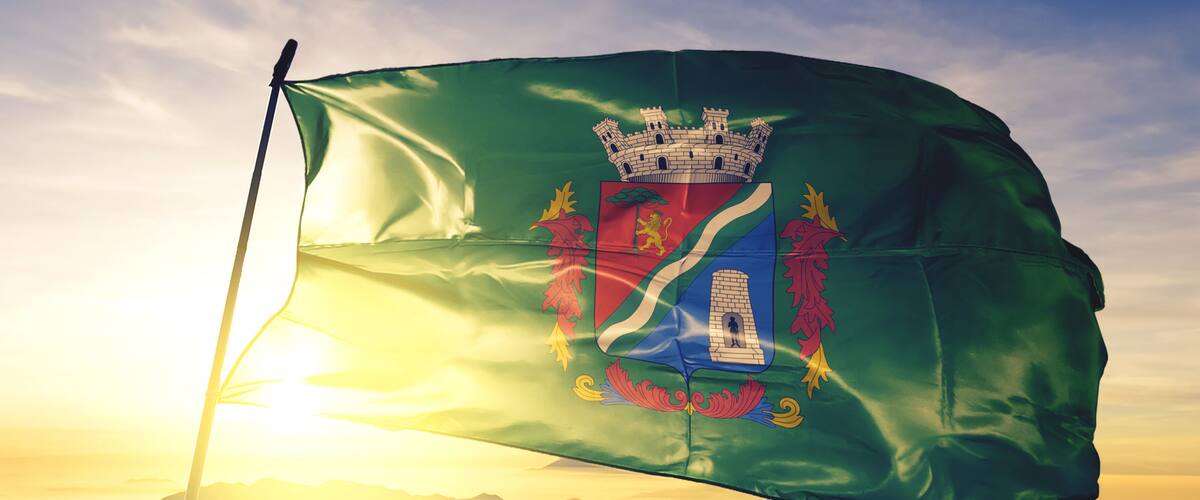 A flag with a castle emblem, waving in the wind against a sunrise.