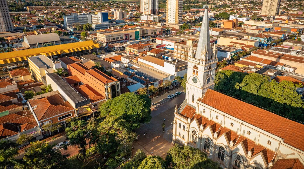 Sertãozinho, Sao Paulo/Brazil - Circa June 2022: Aerial view of Sertãozinho. City center.