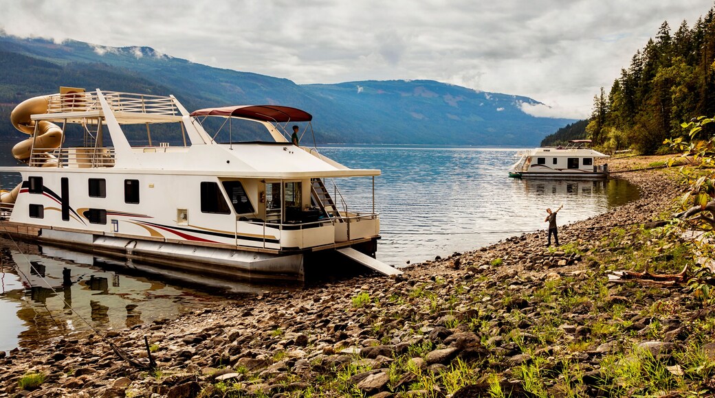 A family enjoying a houseboat vacation while parked on the shoreline of Shuswap Lake; Shuswap Lake, British Columbia, Canada