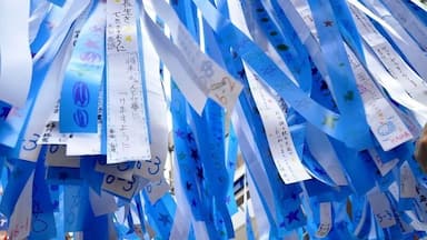 Every year in summer, a Star Festival is held called Tanabata. Two star deities, Orihime and Hikoboshi, can meet each other in the night sky. Theirs is a tragic love story, but children celebrate them by writing wishes on streamers to fly to the heavens. This festival is a major event in Sendai, but it's smaller cousin in Hiratsuka is also impressive and a lot of fun! Wear your yukata or jinbei!