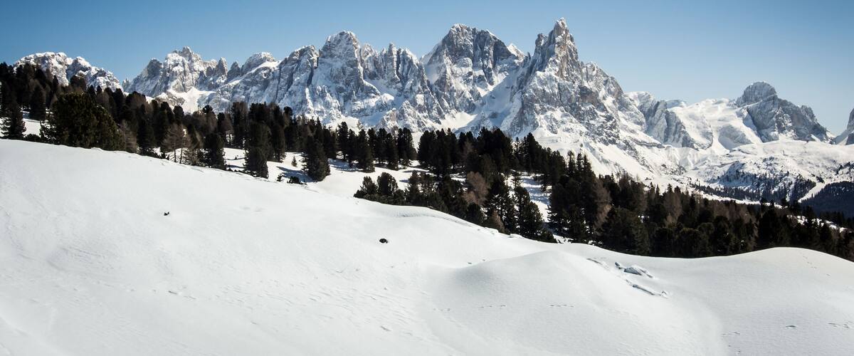 A snow-covered mountain range with sharp peaks and a forested valley.