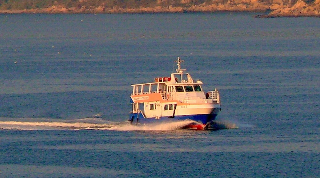 徳山港乗り場へ向う大津島巡航株式会社の旅客船「鼓海Ⅱ」。徳山駅新幹線ホームより撮影。