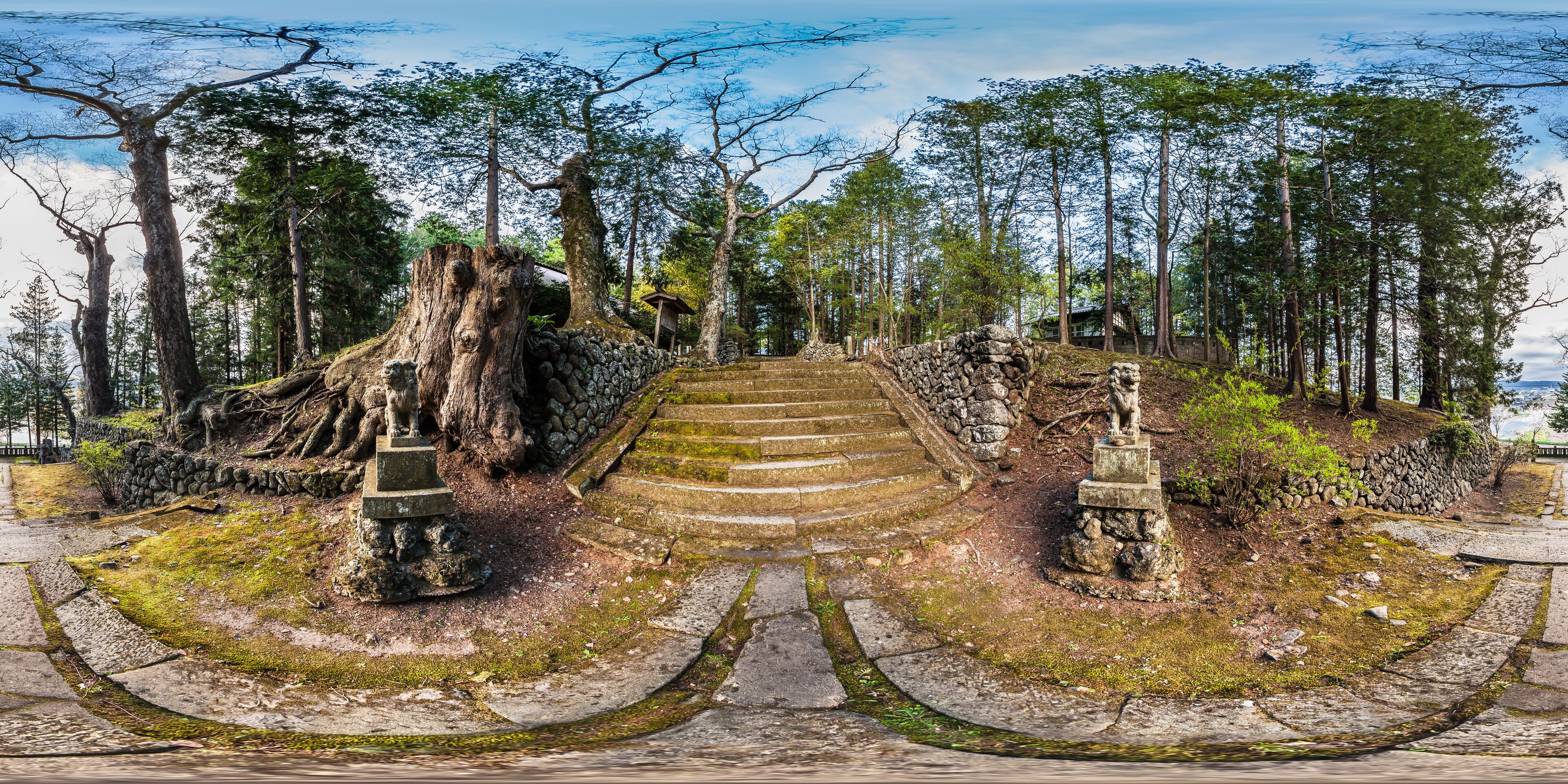 A stone staircase leading up to a temple surrounded by trees.