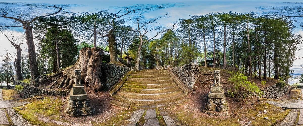 A stone staircase leading up to a temple surrounded by trees.