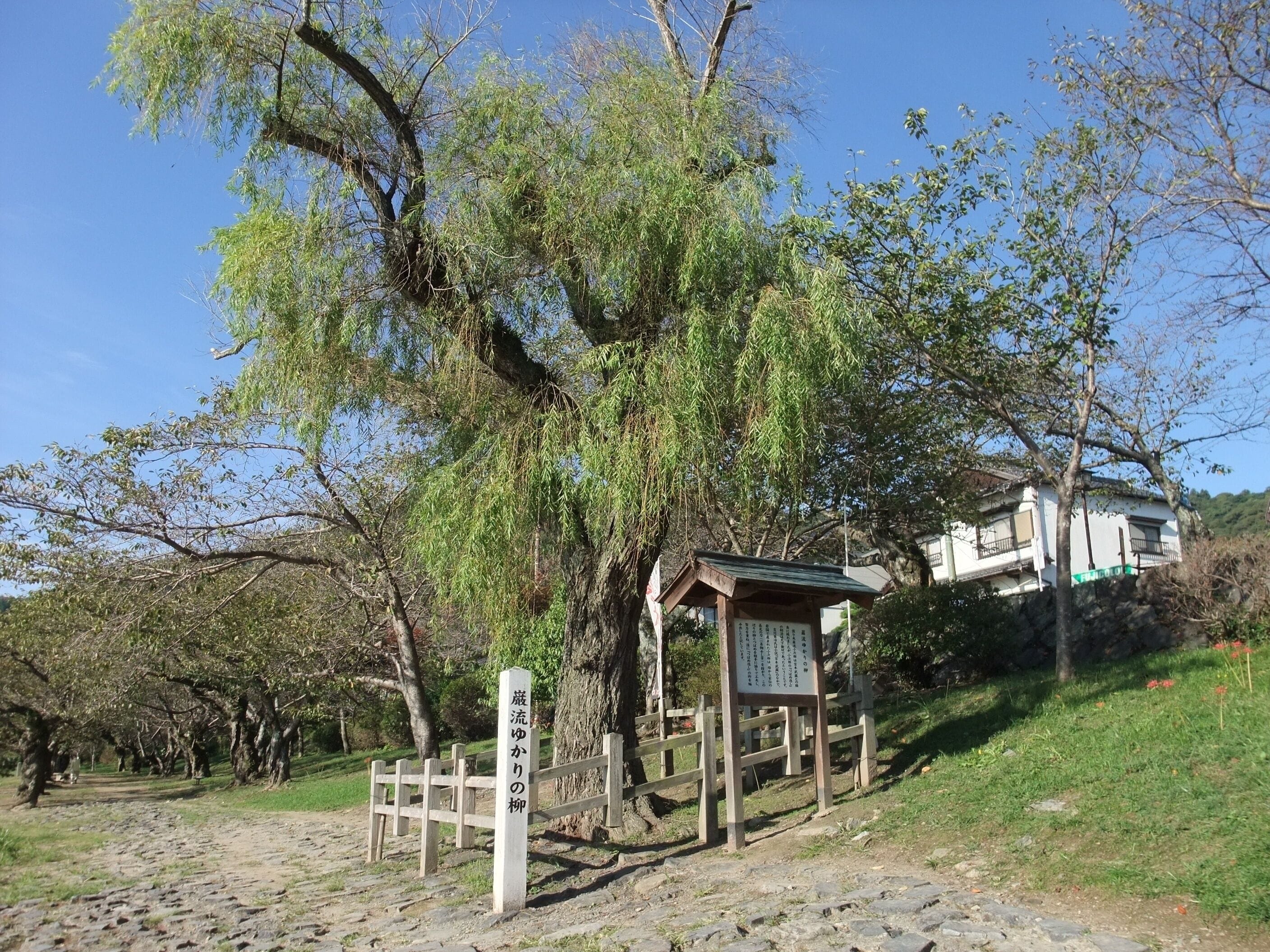 Un camino de piedra que conduce a una estructura tradicional japonesa con un cartel, rodeado de árboles y un edificio al fondo.