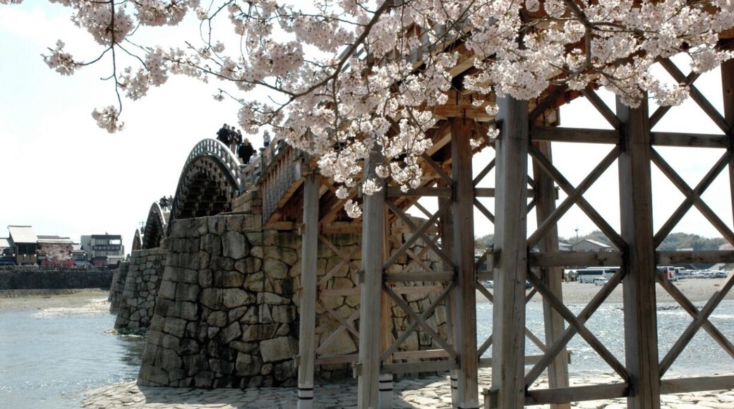 Kintai-Kyo...Kintai Bridge. No nails. Every 50 years they rehab the bridge to teach the next generation how to do it. I was fortunate to live here for 4 years. Loved every minute of it.