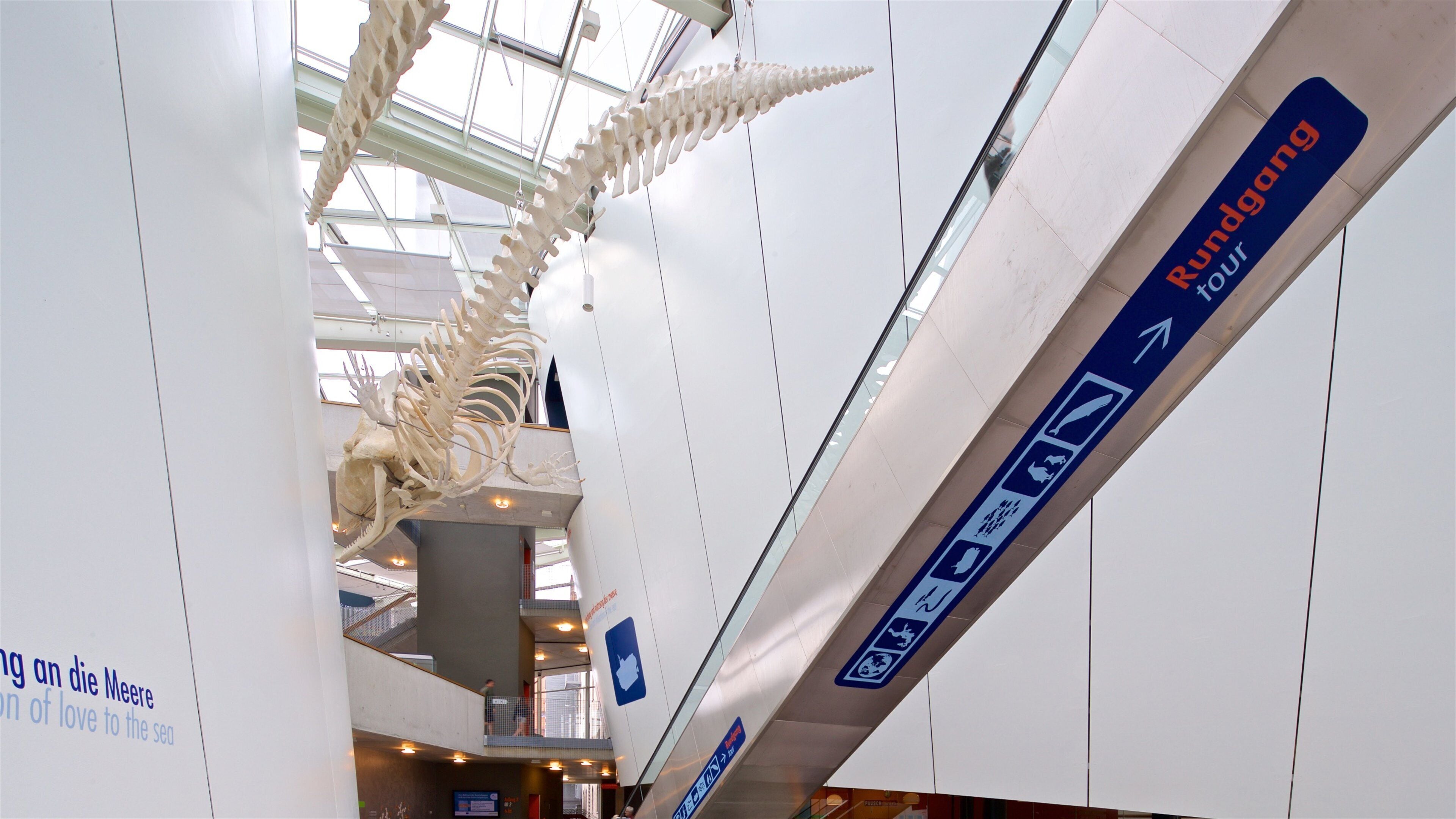 Ozeaneum featuring interior views