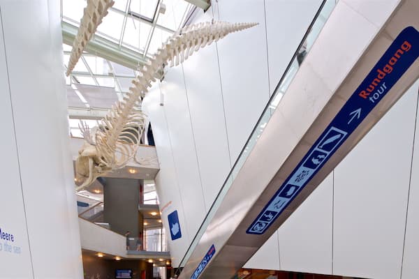 Ozeaneum featuring interior views