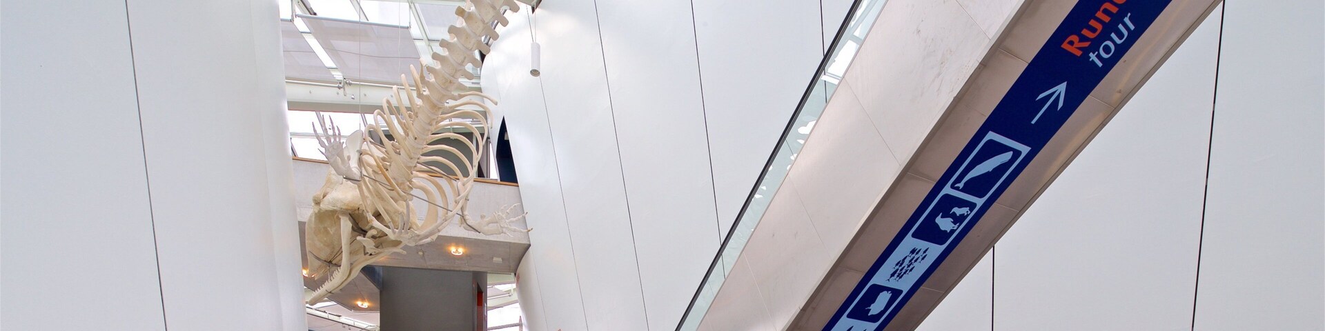 Ozeaneum which includes interior views