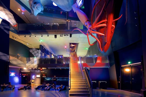 Ozeaneum montrant vie marine et vues intérieures aussi bien que petit groupe de personnes