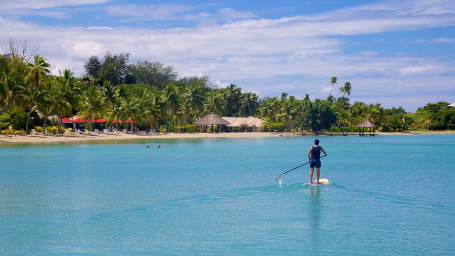 A person paddleboarding on a clear turquoise sea with a beach and palm trees in the background.