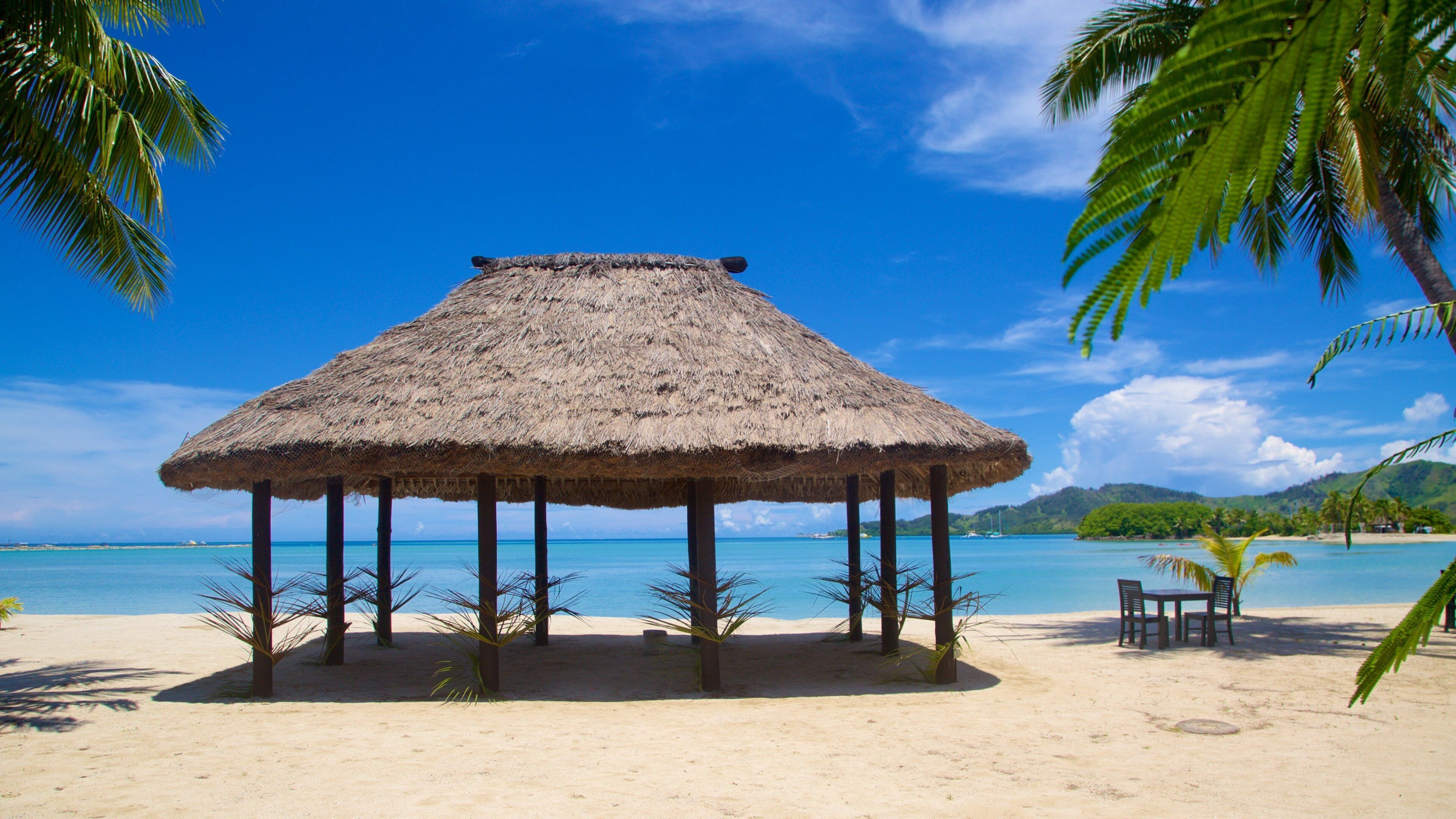 Musket Cove welches beinhaltet tropische Szenerien und Sandstrand