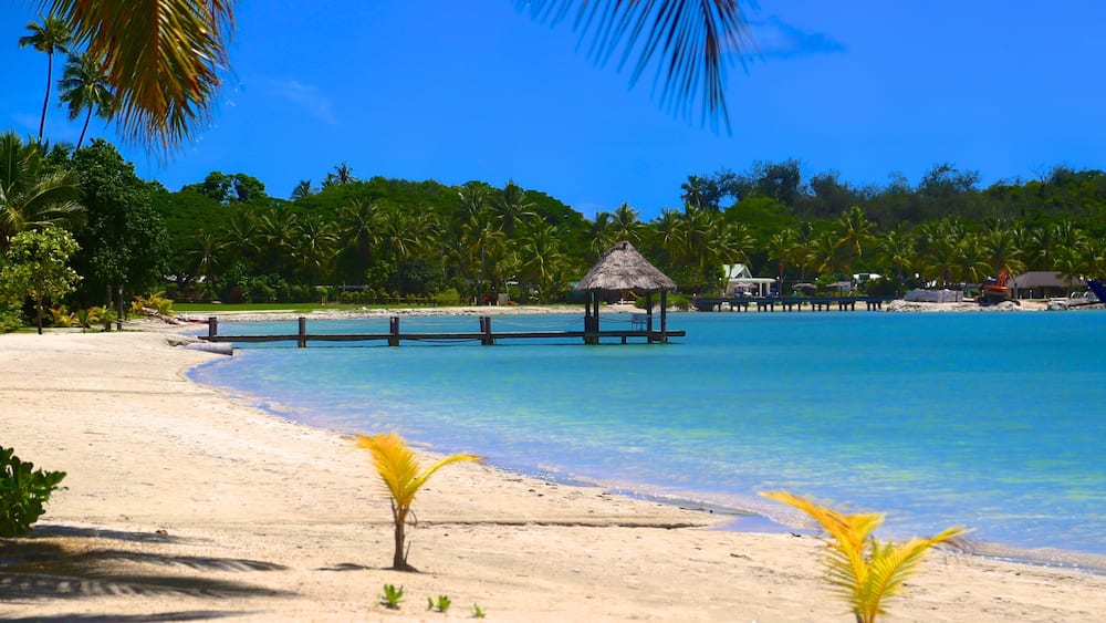 Musket Cove Marina which includes a beach and tropical scenes