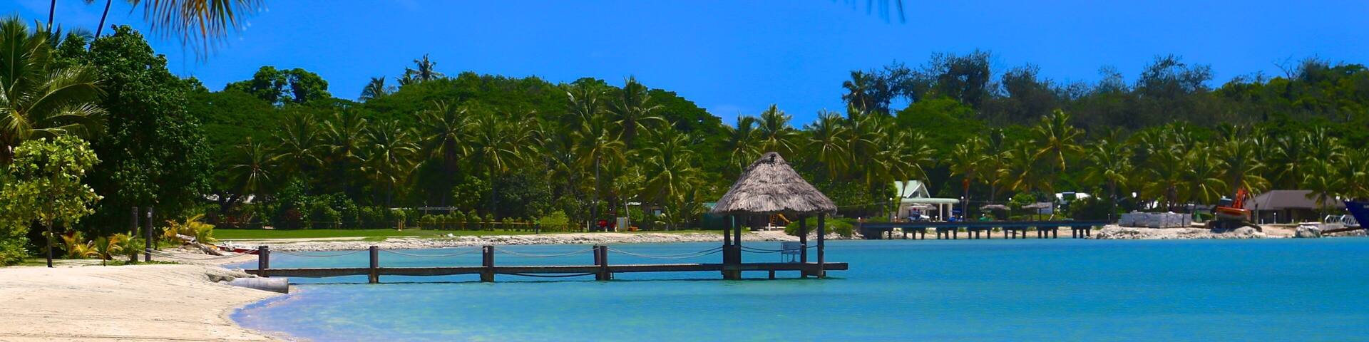 Musket Cove Marina which includes a beach and tropical scenes