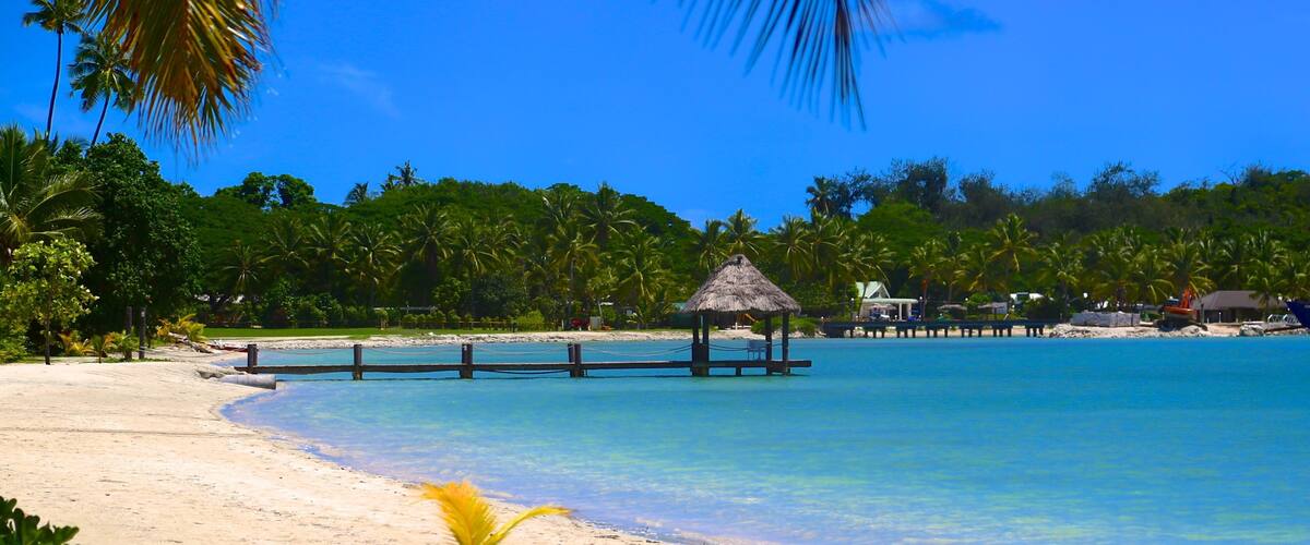 A beach with clear turquoise water, a thatched-roof hut, and palm trees.