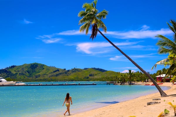 Musket Cove Marina which includes tropical scenes and a sandy beach as well as an individual female
