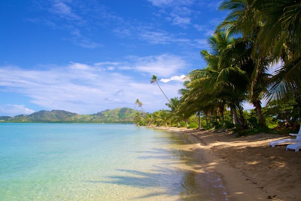 Musket Cove welches beinhaltet Sandstrand und tropische Szenerien