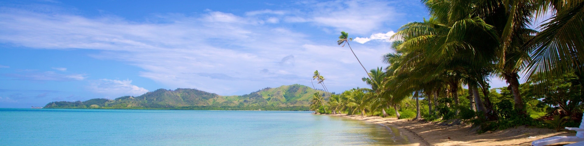 Musket Cove welches beinhaltet Sandstrand und tropische Szenerien
