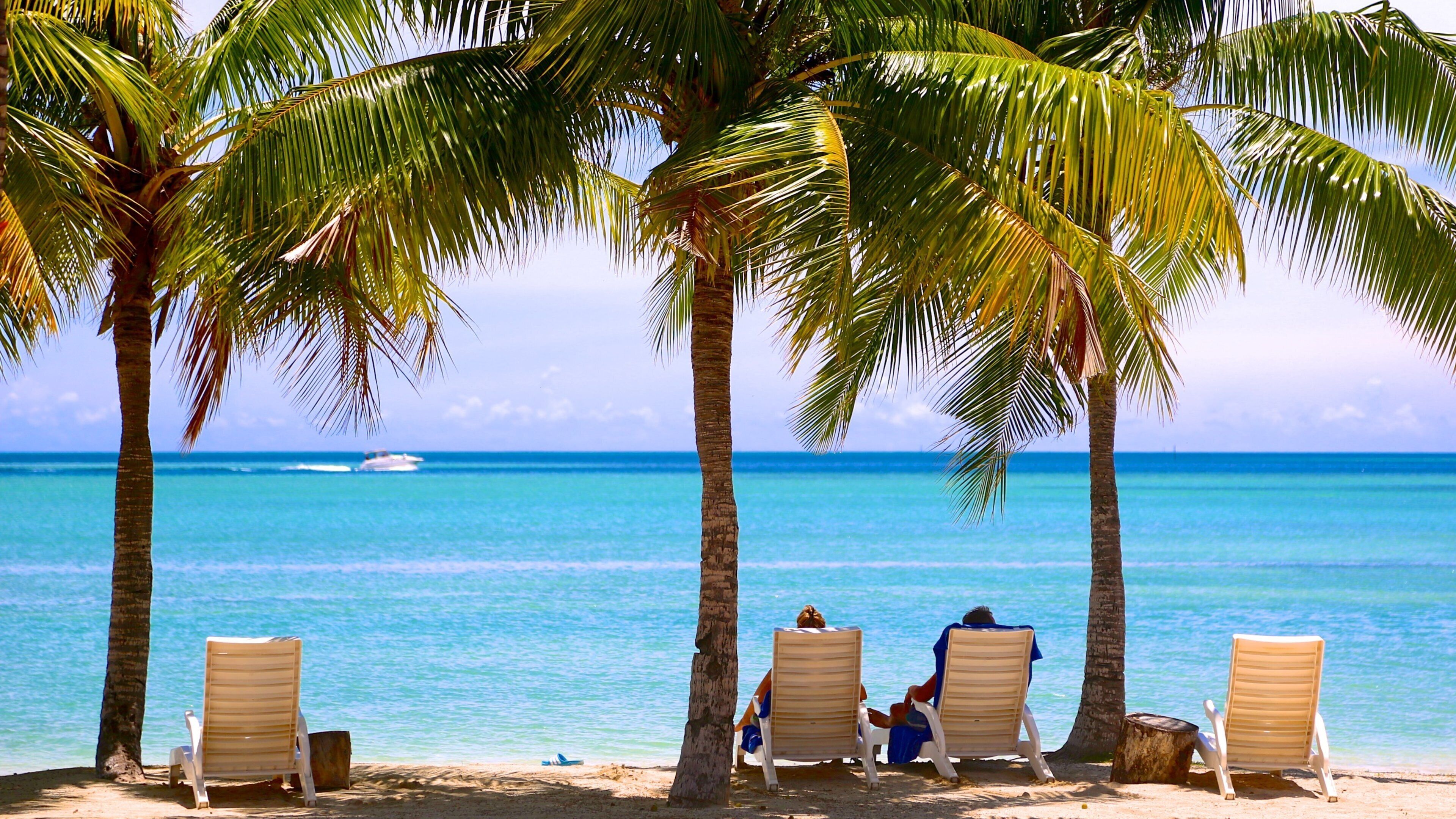 Musket Cove som inkluderar en sandstrand och tropisk natur såväl som ett par