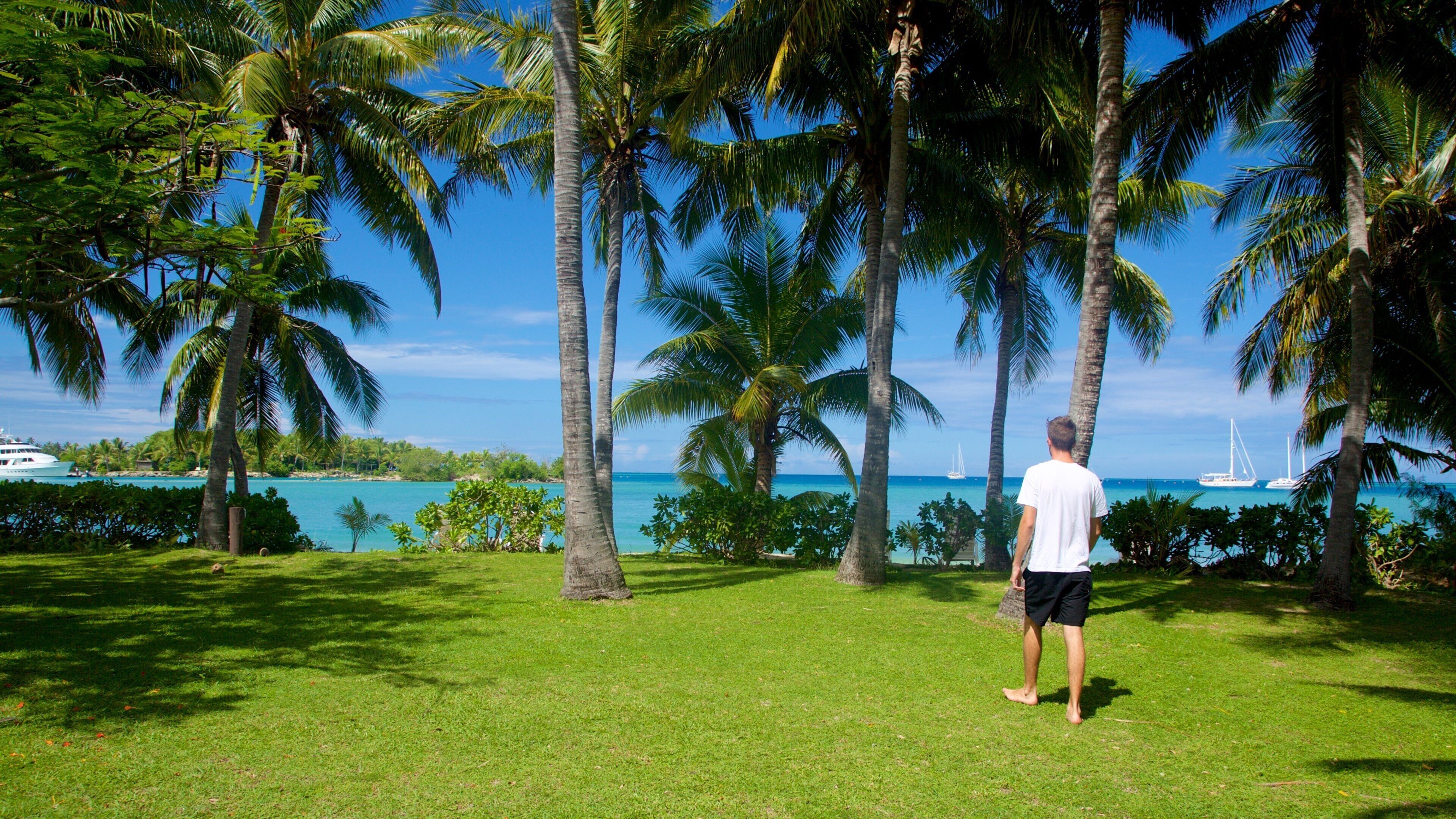 A man standing on a grassy area with palm trees and a view of the ocean with boats.