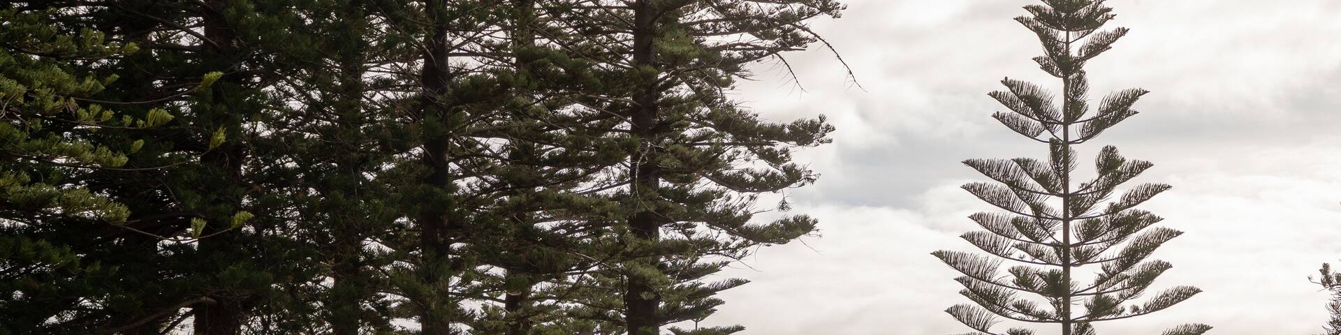 Soldier Memorial Gardens featuring a park