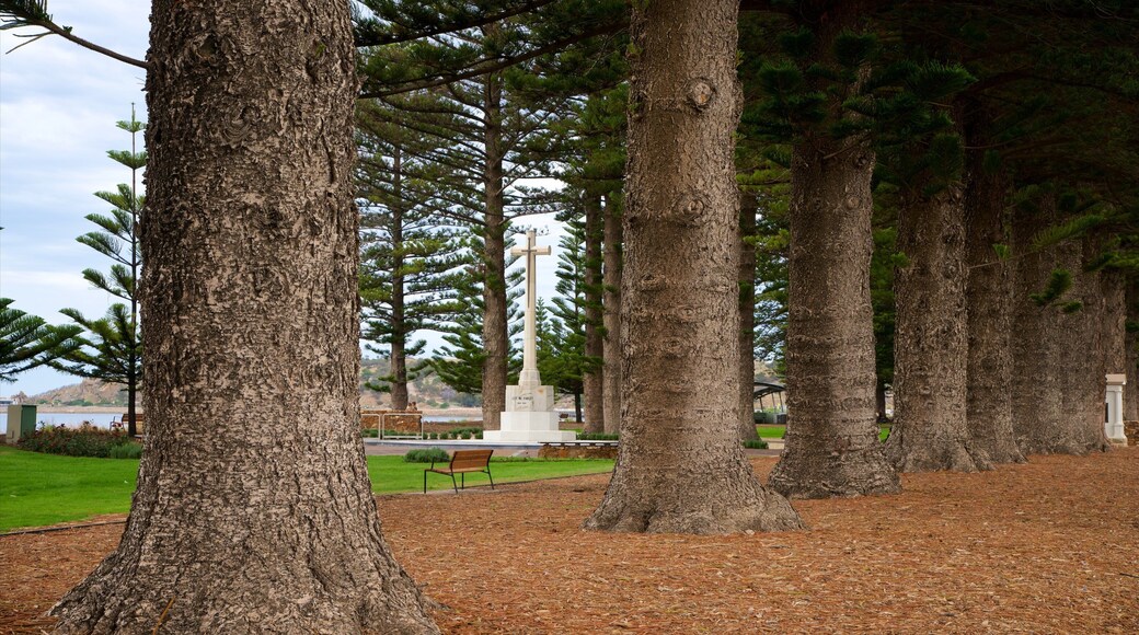 Soldier Memorial Gardens which includes general coastal views and a park