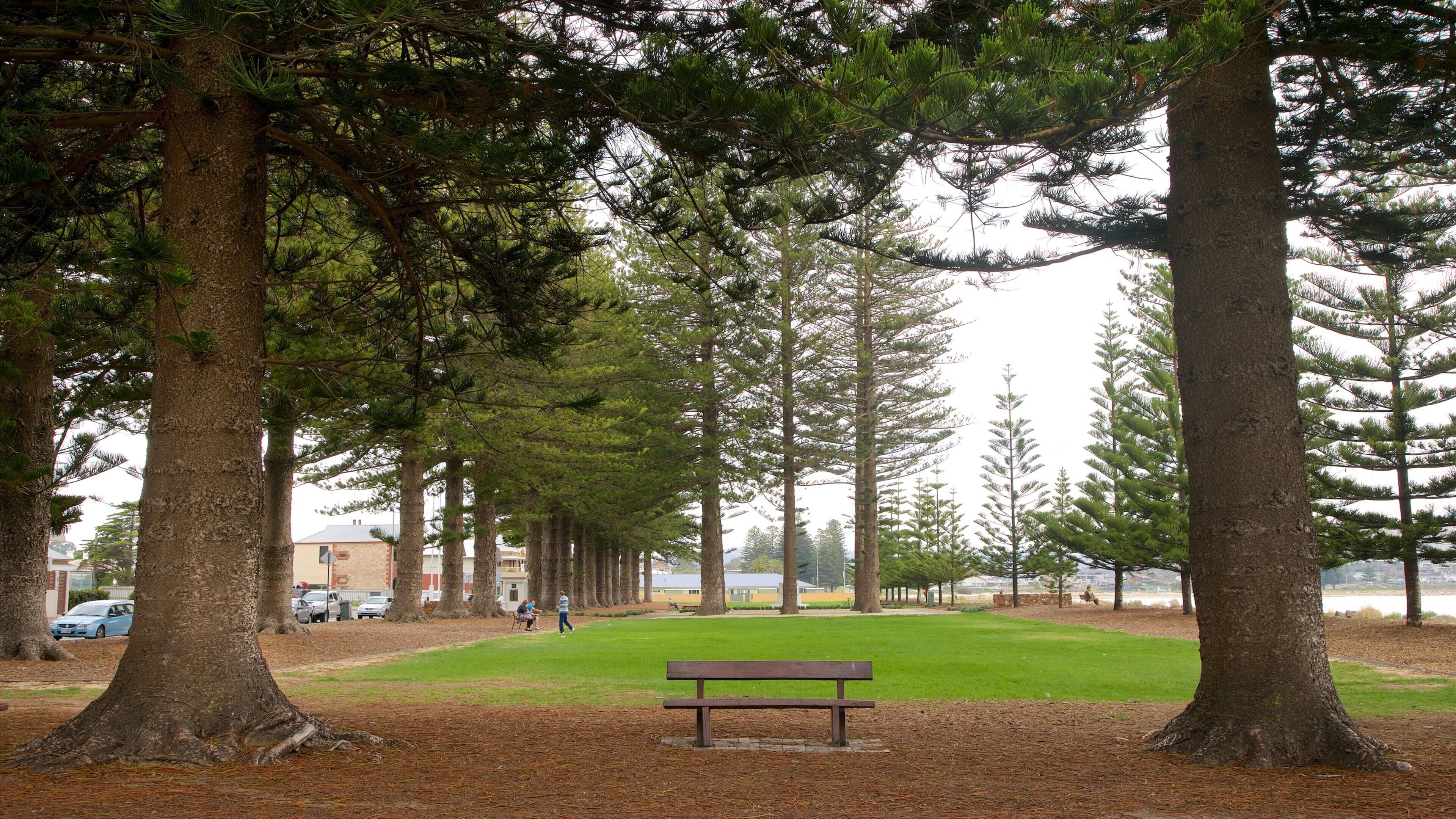 Soldier Memorial Gardens mostrando vistas de una costa y un jardín