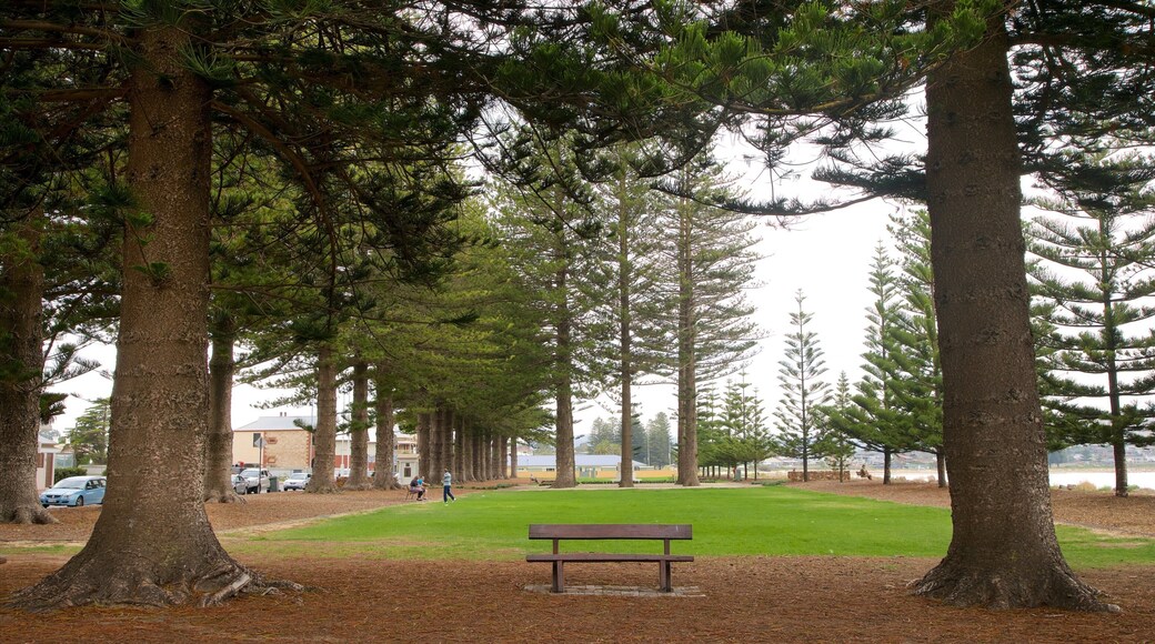 Soldier Memorial Gardens welches beinhaltet allgemeine Küstenansicht und Garten