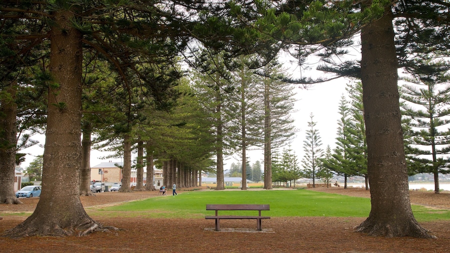 Soldier Memorial Gardens mostrando vistas de una costa y un jardín