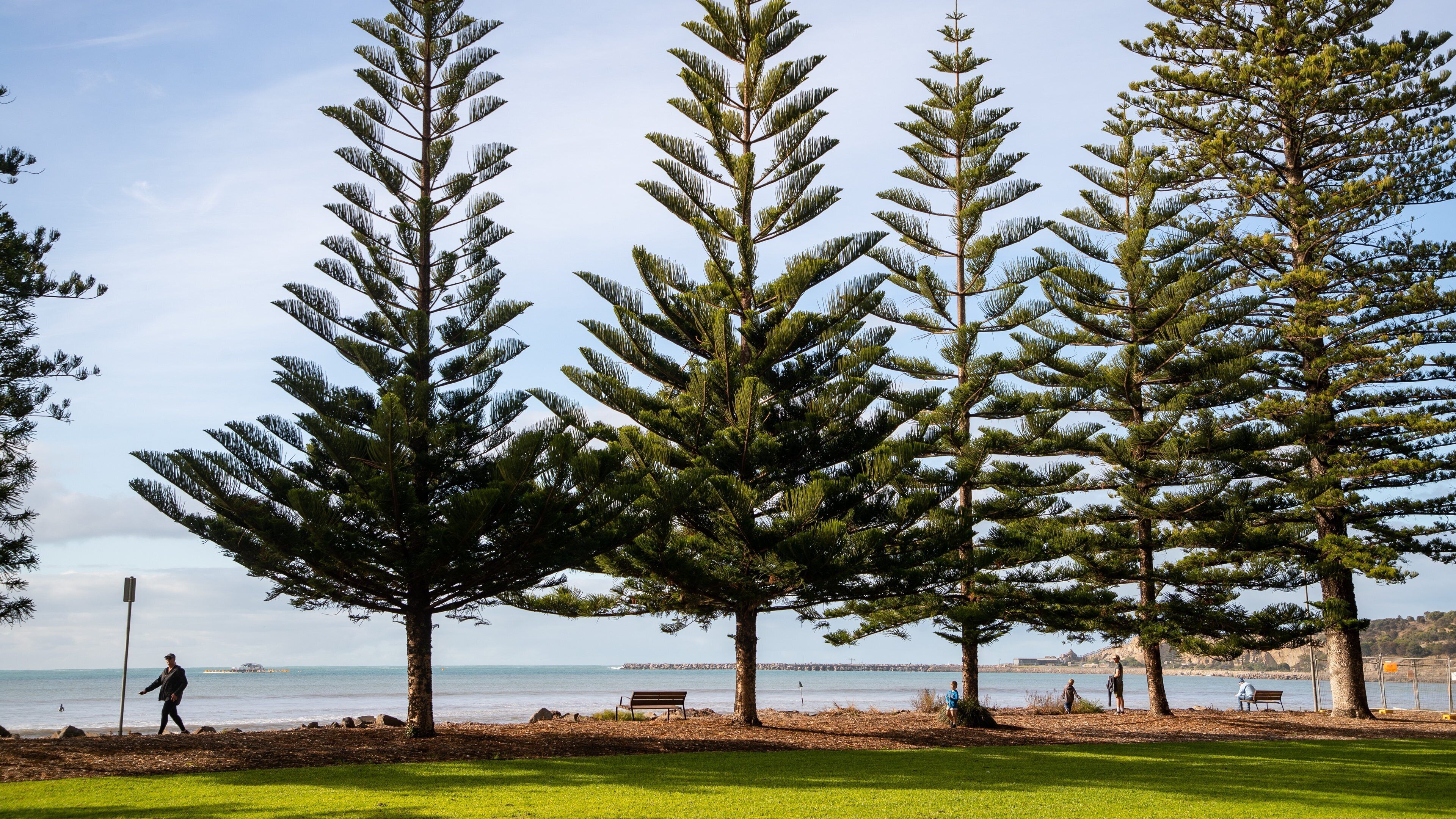Soldier Memorial Gardens featuring a park