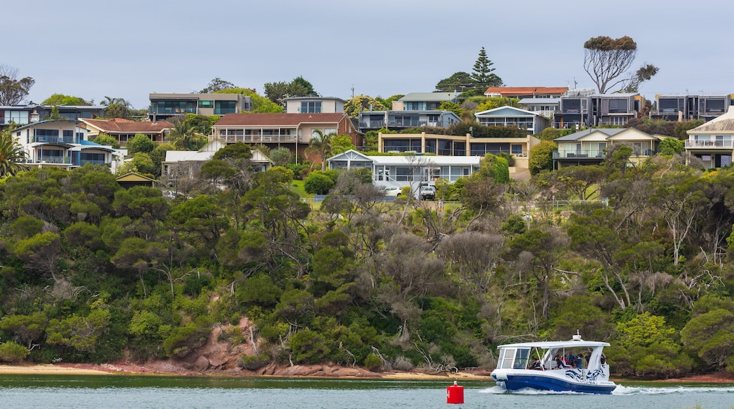 Main Beach Recreation Reserve showing a coastal town and boating