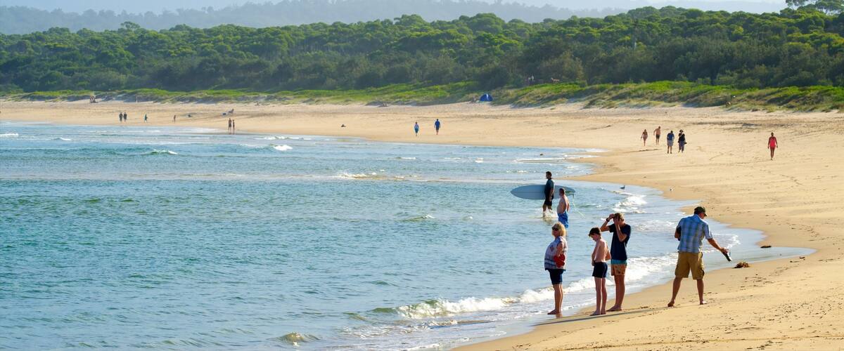 Main Beach Recreation Reserve johon kuuluu yleiset rantanäkymät ja hiekkaranta sekä pieni ryhmä ihmisiä