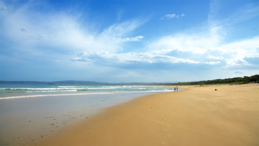 Main Beach Recreation Reserve which includes general coastal views and a beach