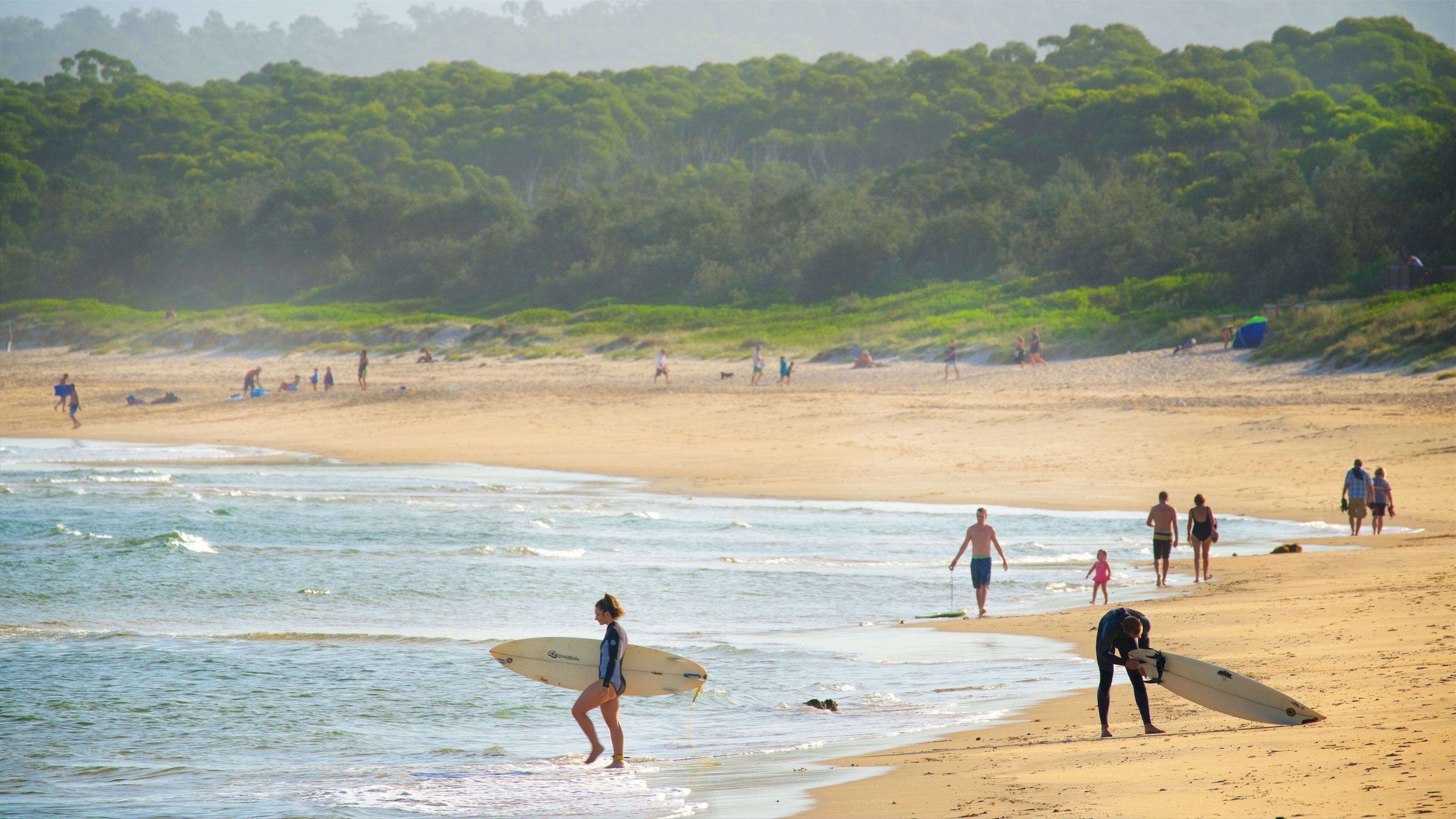 A beach with people walking and surfing, surrounded by greenery.
